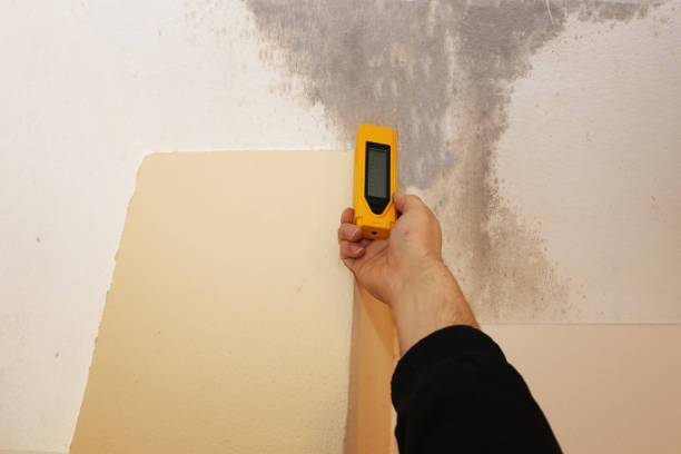 Best Mold Remediation for Healthcare Facilities  in Summerde, AL