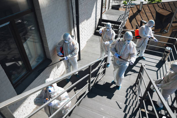 Best Biohazard Mold Removal  in Summerde, AL