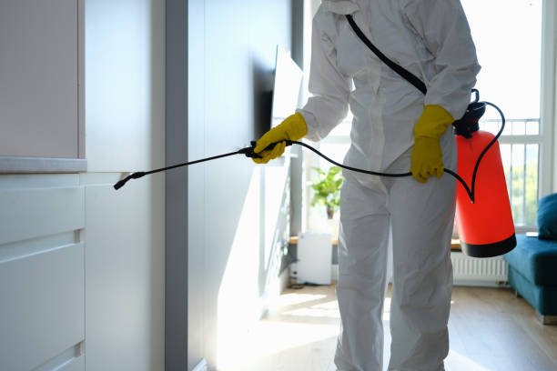 Best Emergency Mold Remediation  in Summerde, AL