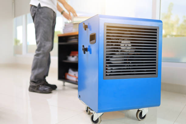 Best Airborne Mold Testing  in Summerde, AL
