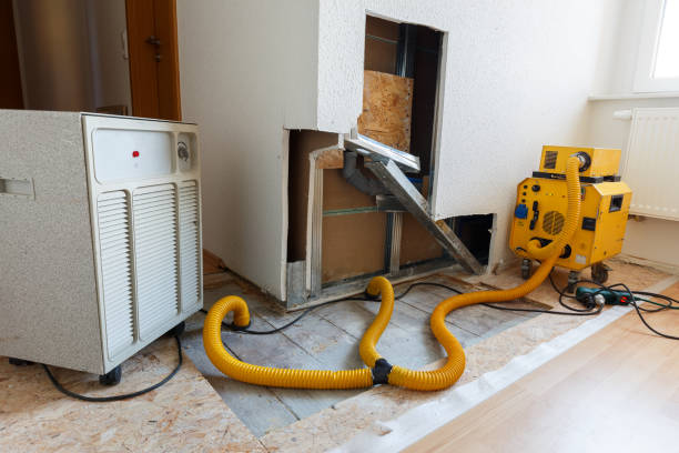 Best Real Estate Mold Inspection  in Summerde, AL