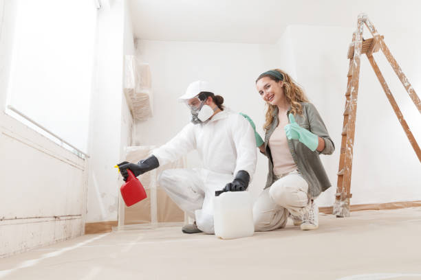 Best Mold Odor Removal Services  in Summerde, AL