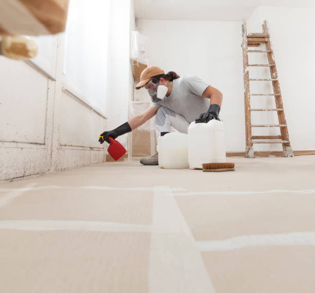 Trusted Summerdale, AL Mold Removal Experts
