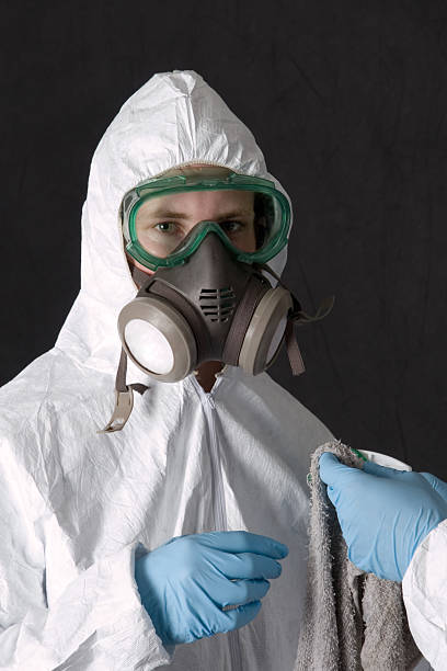Best Post-Construction Mold Inspection  in Summerde, AL